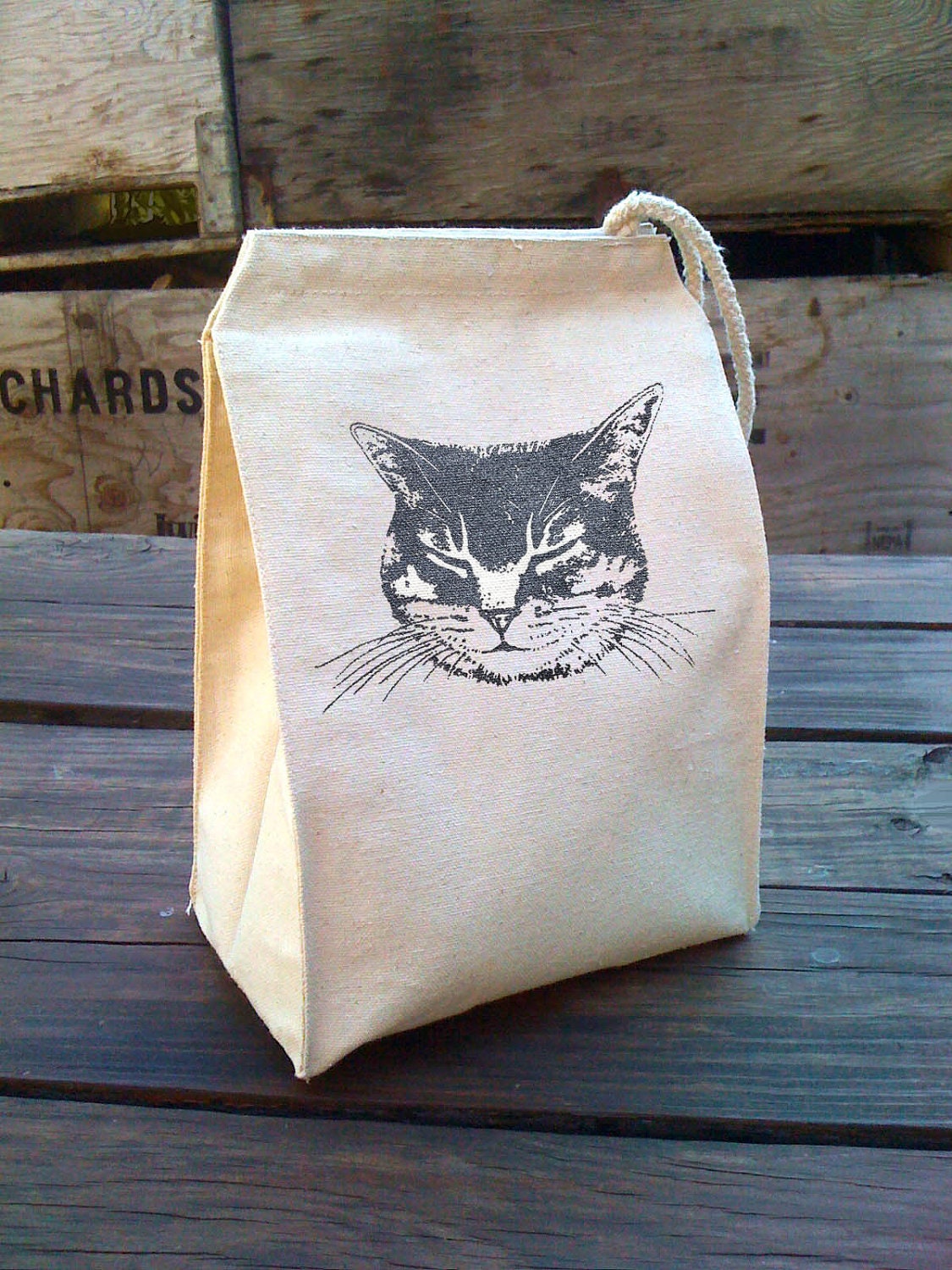 Eco Tabby Cat Lunch Bag with kitty design, Recycled Cotton Canvas Snack sack with rope handle, velcro, and sparkley shimmer ink