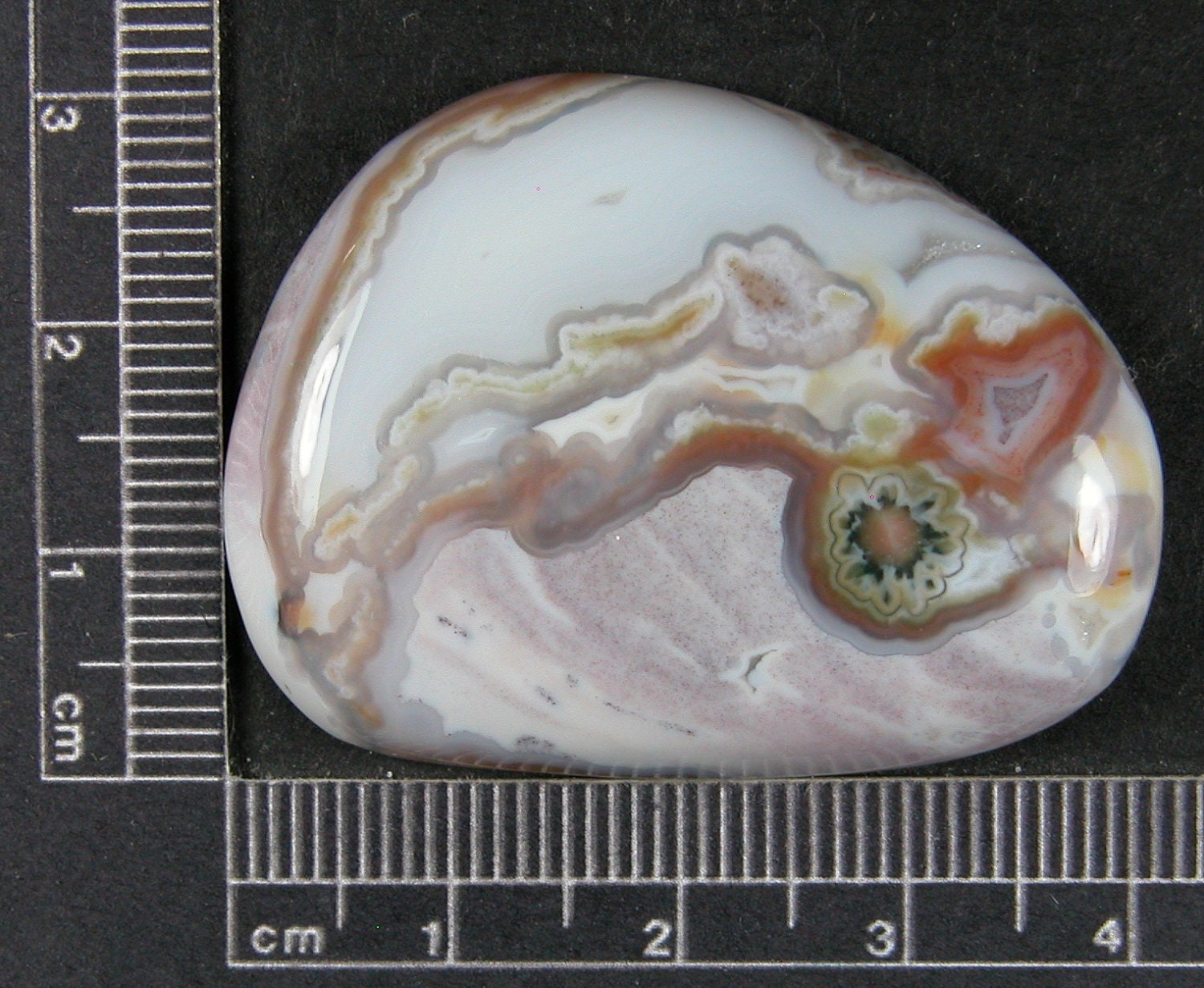 Ocean Jasper Cogwheel Type Hand Cut Cabochon JO194