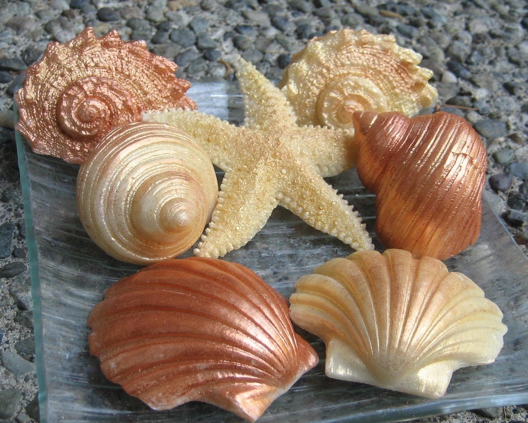 Decorative Seashell Soaps in Gold and Copper Shimmer
