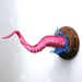 Pink Tentacle Wall Decor, Octopus arm decoration, room jewelry