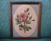 Vintage French Floral Litho Framed