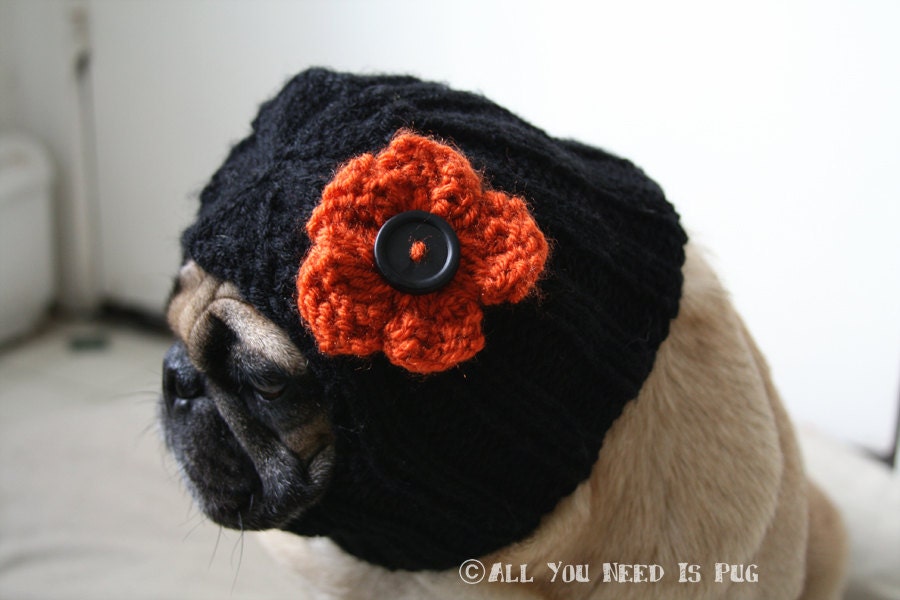 READY to SHIP - Dog Hat - Fall Flower Child Hat