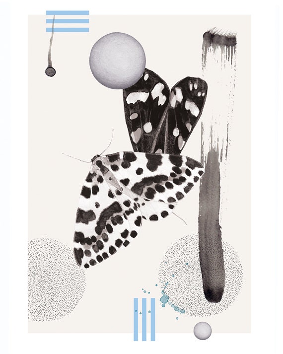 Moth Spots   A3 SIZE