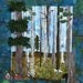 A Walk in the Hartwick Pines - an original Peg Szasz Design