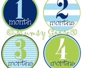 Baby Boy Onesie Stickers Baby Months Stickers Boy Onsies Month Baby stickers Waterproof  Great Newborn Photo Prop