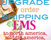 shipping upgrade. express mail. EMS to north america/ middle america/ middle east