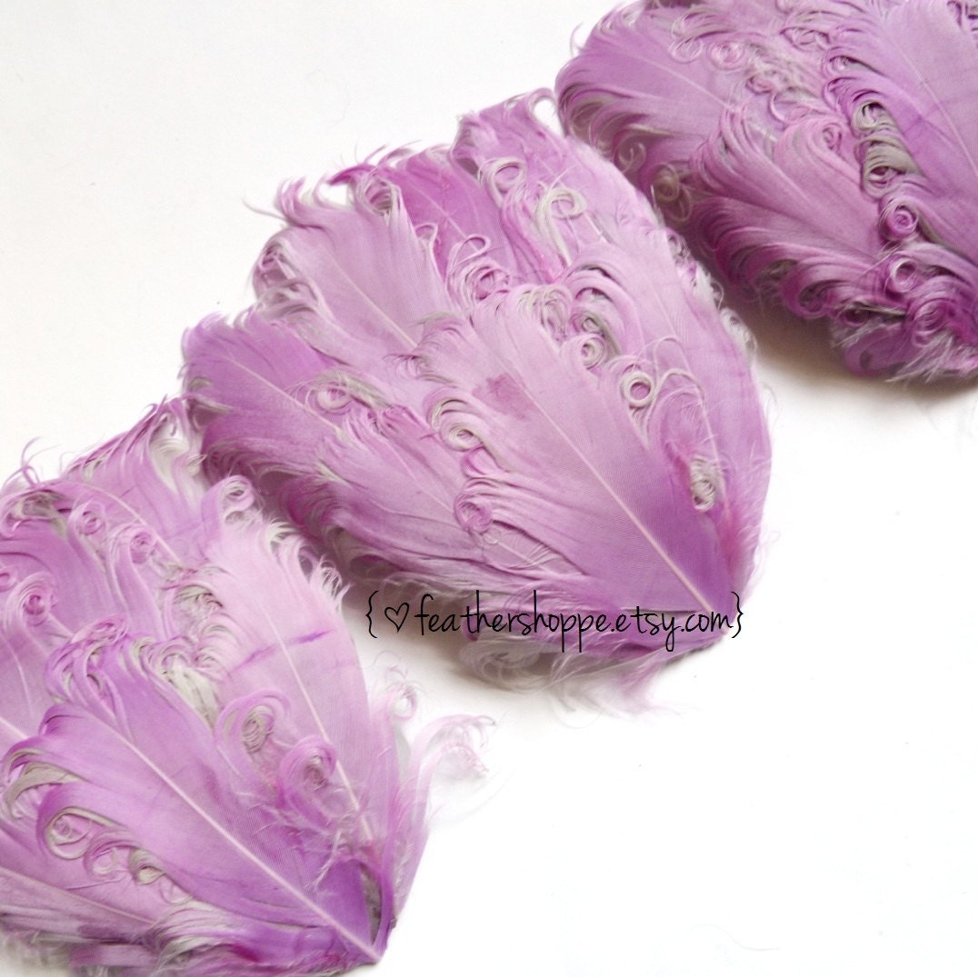 CLEARANCE - Imperfect Lilac on Grey Curled Goose Pads - 3.00 ea