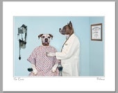 The Exam, 11 X 14 matted photograph features two boxer dogs, one a patient and the other the doctor