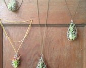 NEW DESIGN Living Air Plant Necklace