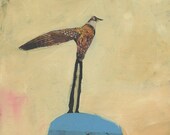 Fly Free