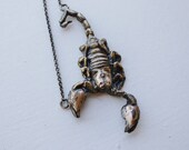 Emperor Scorpion - Cast bronze pendant