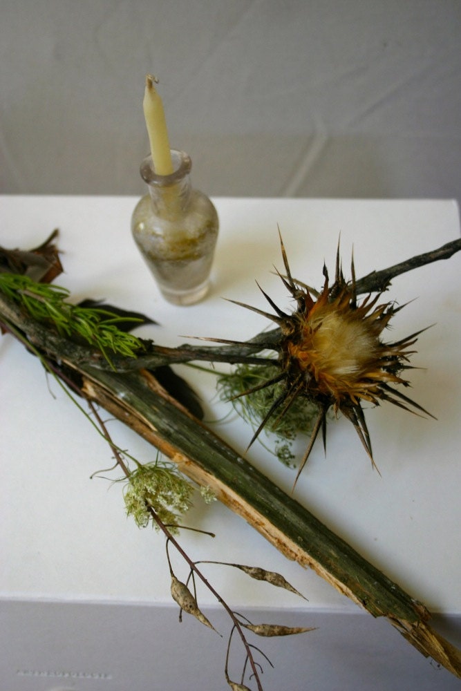 wabi sabi nature wand