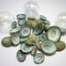 Seashells for Beach Decor - Nautical Decor, Beach Wedding, or Craft Limpet Shells - 12pc Aqua