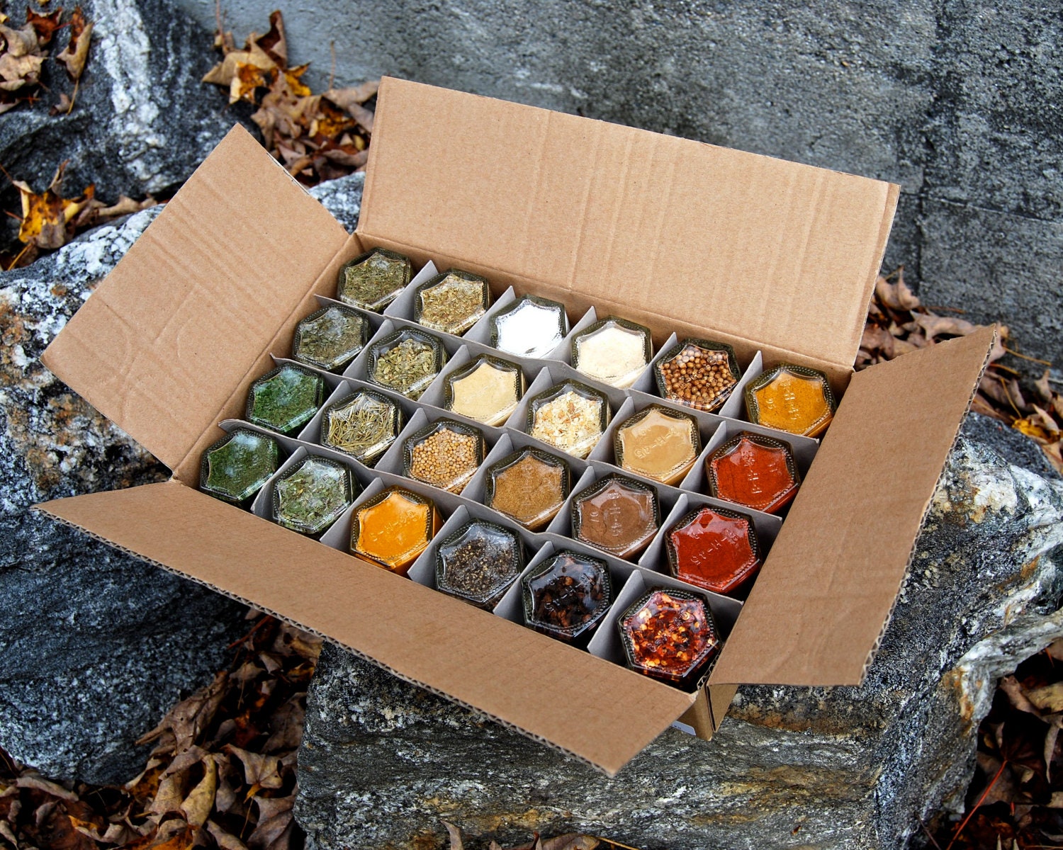 EVERYTHING but the... Spice Kit (24 ORGANIC Spices) Embossed Magnetic Spice Rack. Free Shipping.