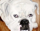 Custom Pet Portrait 12 x 15 by Kristen Dougherty