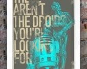 Star Wars Inspired Print (Heroes Series: C3-PO R2-D2) A3