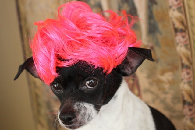 Pet   wig  for dog or cat