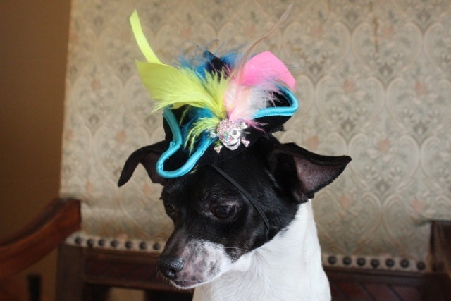 Pirate hat for dog or cat with trim and feather