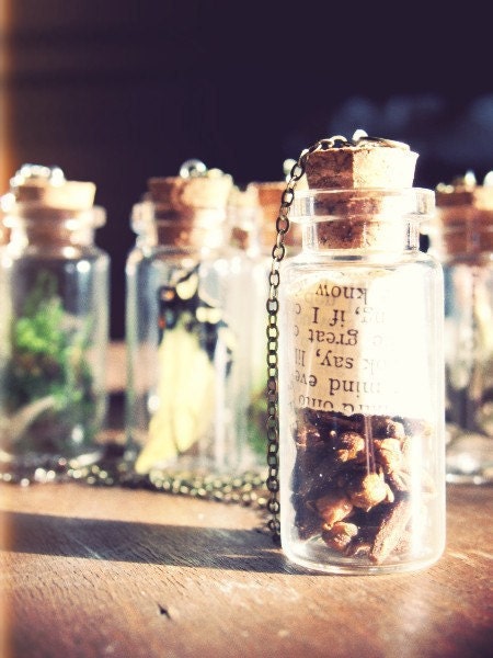 Miniature Cabinet of Curiosity Necklace "Cloves" Scented Pomander Necklace - Spice and Old Book Smell