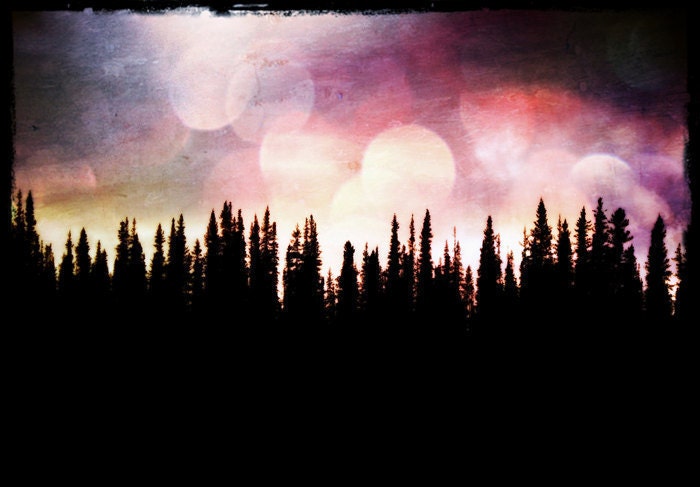 Surreal Arctic Landscape Photo "Midnight Sun" Mysterious Forest Art Print - Northern Lights Art Aurora Borealis