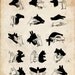 Vintage Illustration "Shadow Puppets" Antique Silhouette Print - Children's Print - Hands Animals Whimsical Nursery Art