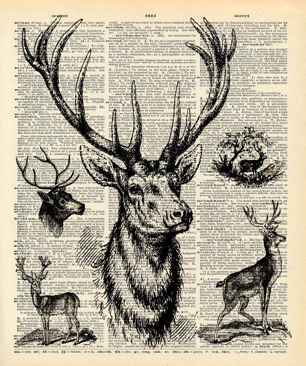 Old Book Print "Trophy Deer" Upcycled Recycled Antique Book Print - Natural History Print - Deer Antlers