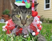 Jolly Jester costume hat and party collar for cats and dogs