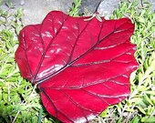 Burning Ember Medium Garden Leaf with Dragonfly