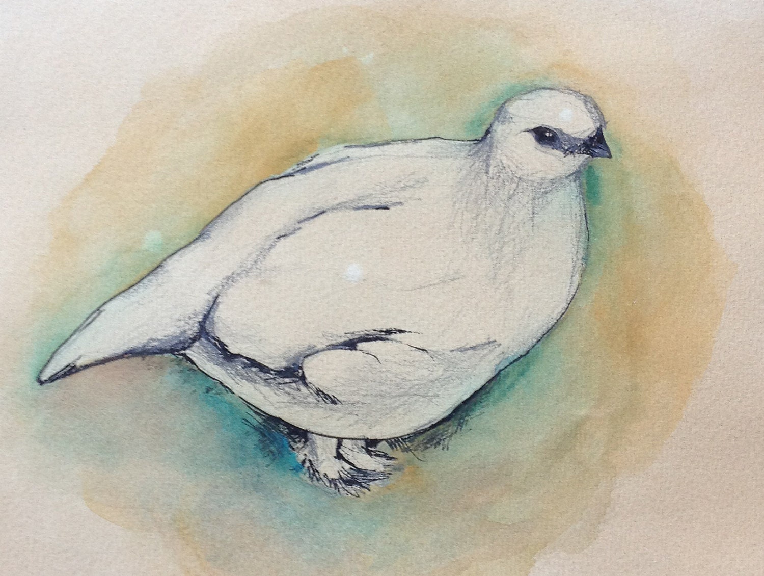 Original Watercolor Painting- Rock Ptarmigan 8x10