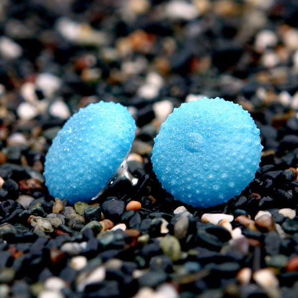 Sea Urchin Earrings Aqua Resin Earrings Resin Jewelry Modern Beach Jewelry