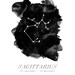 8.5x11 zodiac print - choose your sign