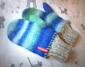 SALE (from 35 to 24 dollars) Felted unisex mittens, blue stripes
