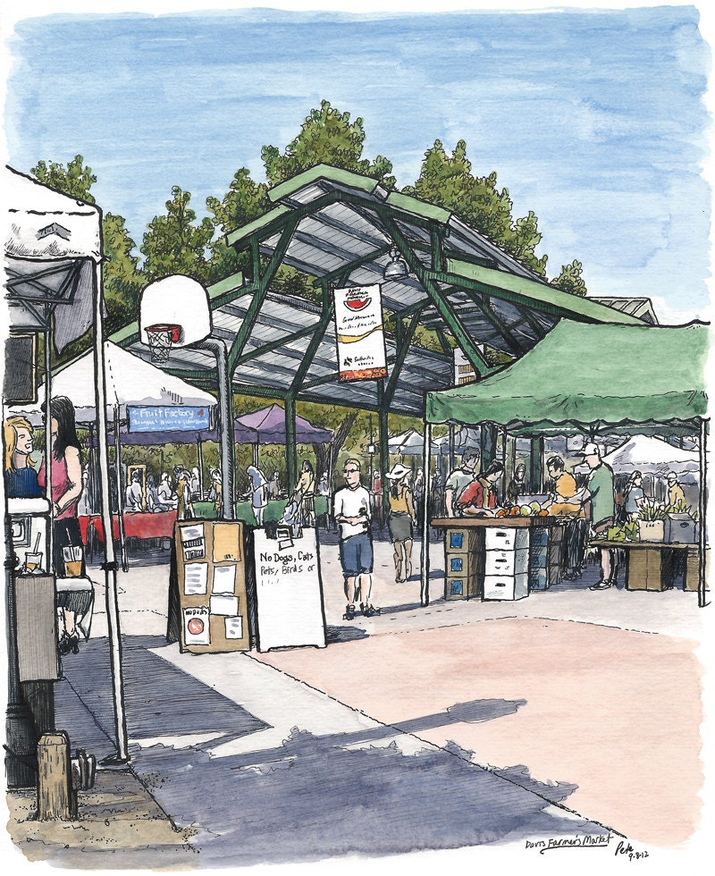 davis farmer's market (original drawing)