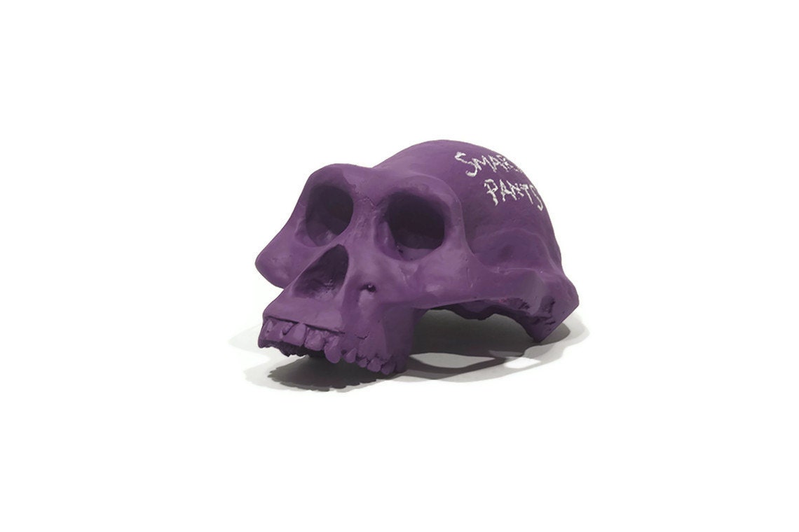 Lucy chalkboard skull