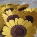 Handmade Sunny Sunflower Paper Flowers - Set of 15