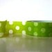 Chugoku Washi Tape Apple Green Big Dots - Gift Wrapping, Packaging