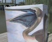 Coastal Birds Tissue Box Cover