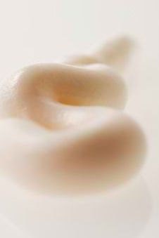 Body Butter and Natural Hair Conditioner Sample Cocoa-Mango Buttercream 2oz