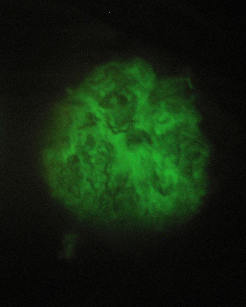 Glow in the Dark Spinning Fiber - Blending Felting Fiber - 6 denier - white fiber - green glow - 1 oz. (28g) - Zauberzeug