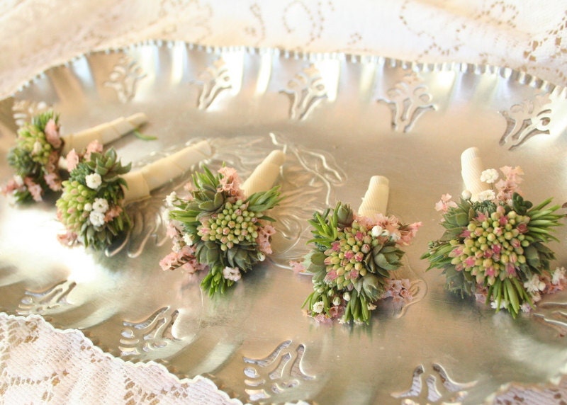 Boutonnieres, sedum and succulents with accents of peach statice and babies breath
