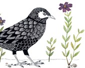 Art Print 5x7 Bird with Purple Flowers