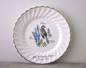 Vintage Texas Bird China Souvenir Travel Plate from John F. Kennedy Museum