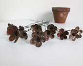 Rustic Bouquet of Rusty Flowers Bloom Forever For For You To Enjoy