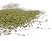 Dill, Mammoth Dill Seeds - Exceptional Herb Perfect Pickling or in Fresh Salads