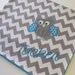 Personalized Baby Blanket 30x35- Aqua Minky Blanket-  Chevron Baby Blanket- Applique Baby Blanket- Owl Baby Blanket- Design Your Own Blanket