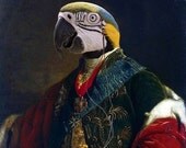 Earl of Psittacoidea - 13 X 19 Fine Art Print