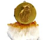 Sweet Kitty Locket, Cat Necklace, Persian Cat Lover, Vintage Locket, Handmade Jewelry