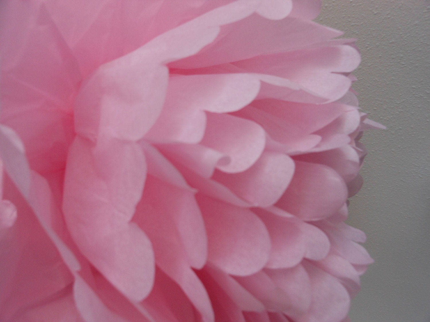 Wedding or Birthday Tissue Poms- Light Pink ...(20) Large 12" Il_170x135