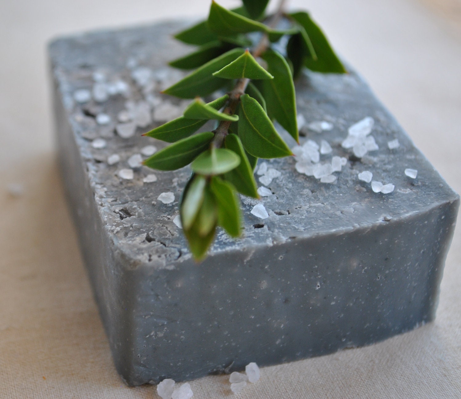 BOGO Charcoal Soap-Sea Salt Soap-Cold Process Soap-Activated Charcoal Soap- Bamboo Sugarcane