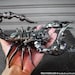Metal Sculpture - Metal Poison Scorpion (small item)
